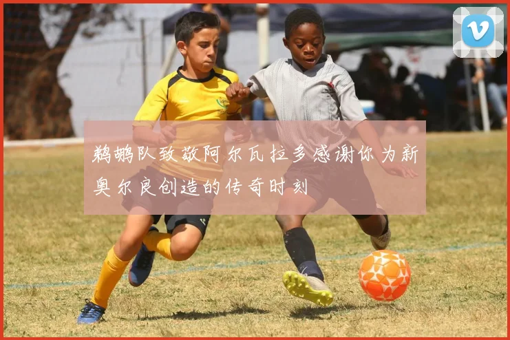 鹈鹕队致敬阿尔瓦拉多感谢你为新奥尔良创造的传奇时刻