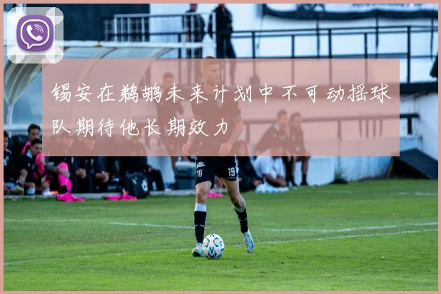 锡安在鹈鹕未来计划中不可动摇球队期待他长期效力